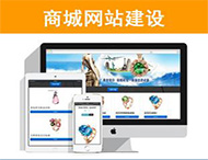 商城網(wǎng)站建設有哪些功能？